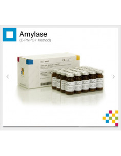 AMILASA